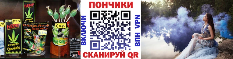 Canna-Cookies конопля  где продают   Элиста 