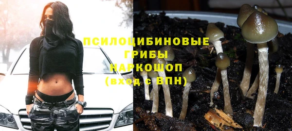 дживик Волосово