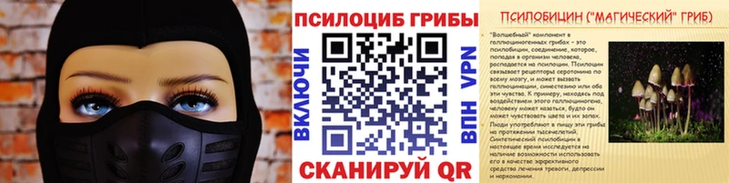 Псилоцибиновые грибы GOLDEN TEACHER  Элиста 